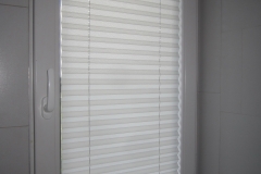 PLEATED BLINDS30